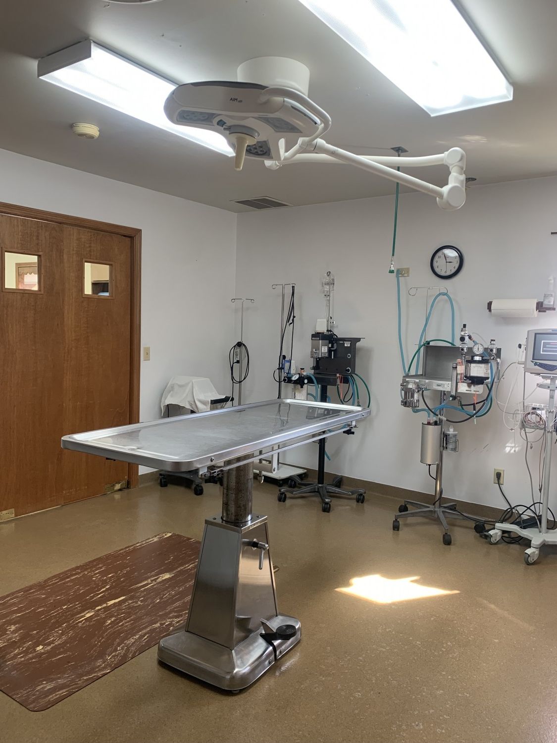 Inside of Athens Veterinary Services, Inc